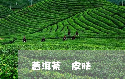 普洱茶 皮肤/2023042903369